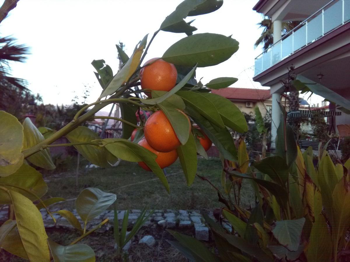 Willa Balim Koycegiz (Mugla)
